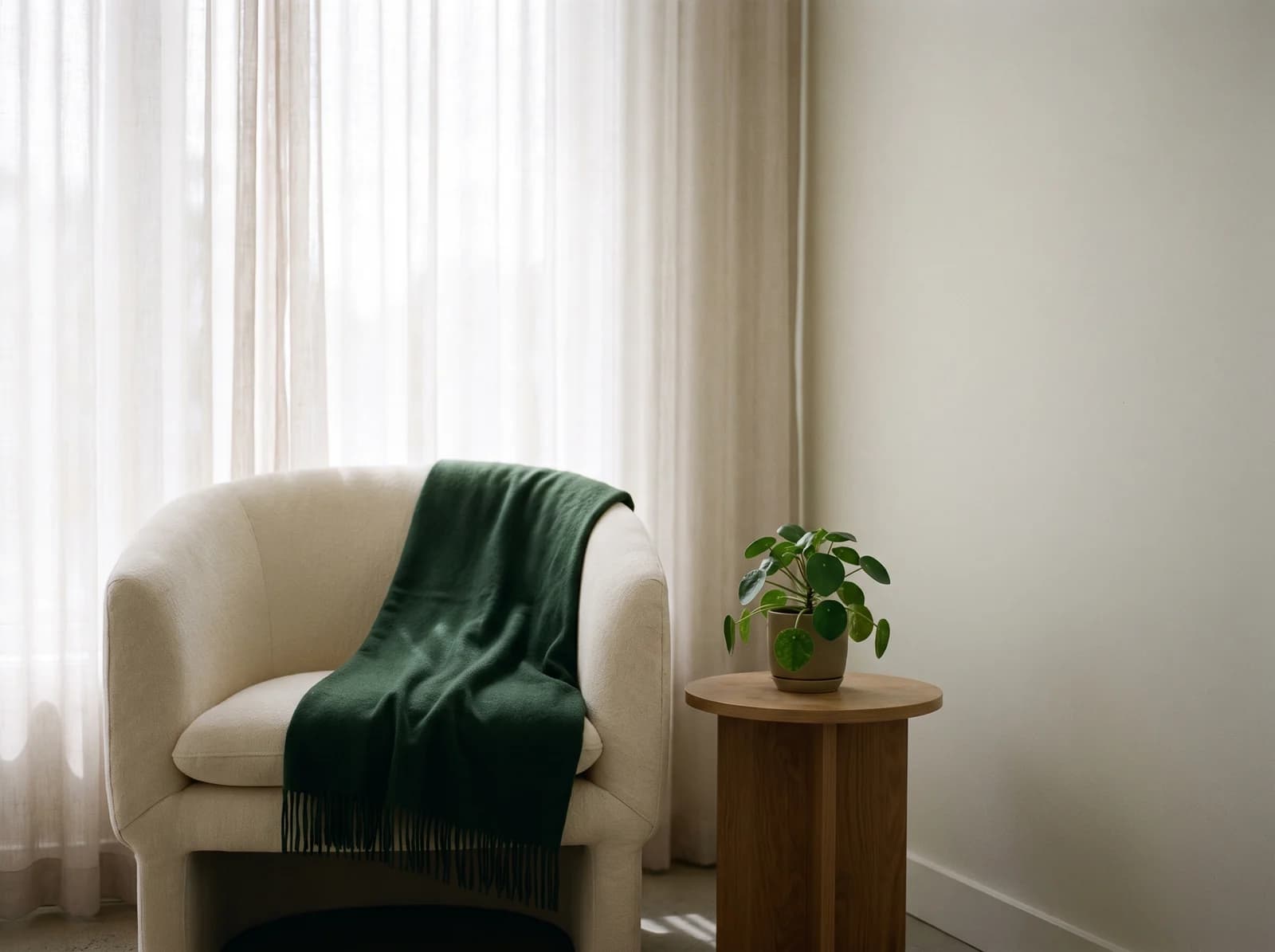A calm corner of Sofipie Studio